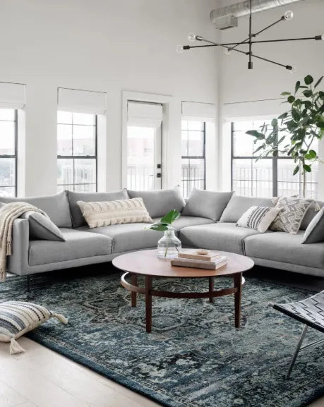  color rug goes with a grey couch