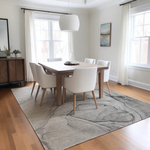Chantille ACN502 Gray Rug