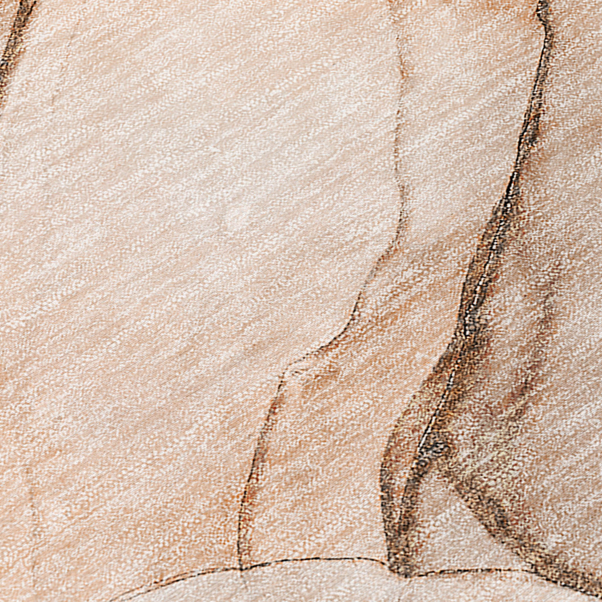 Chantille ACN502 Orange Rug