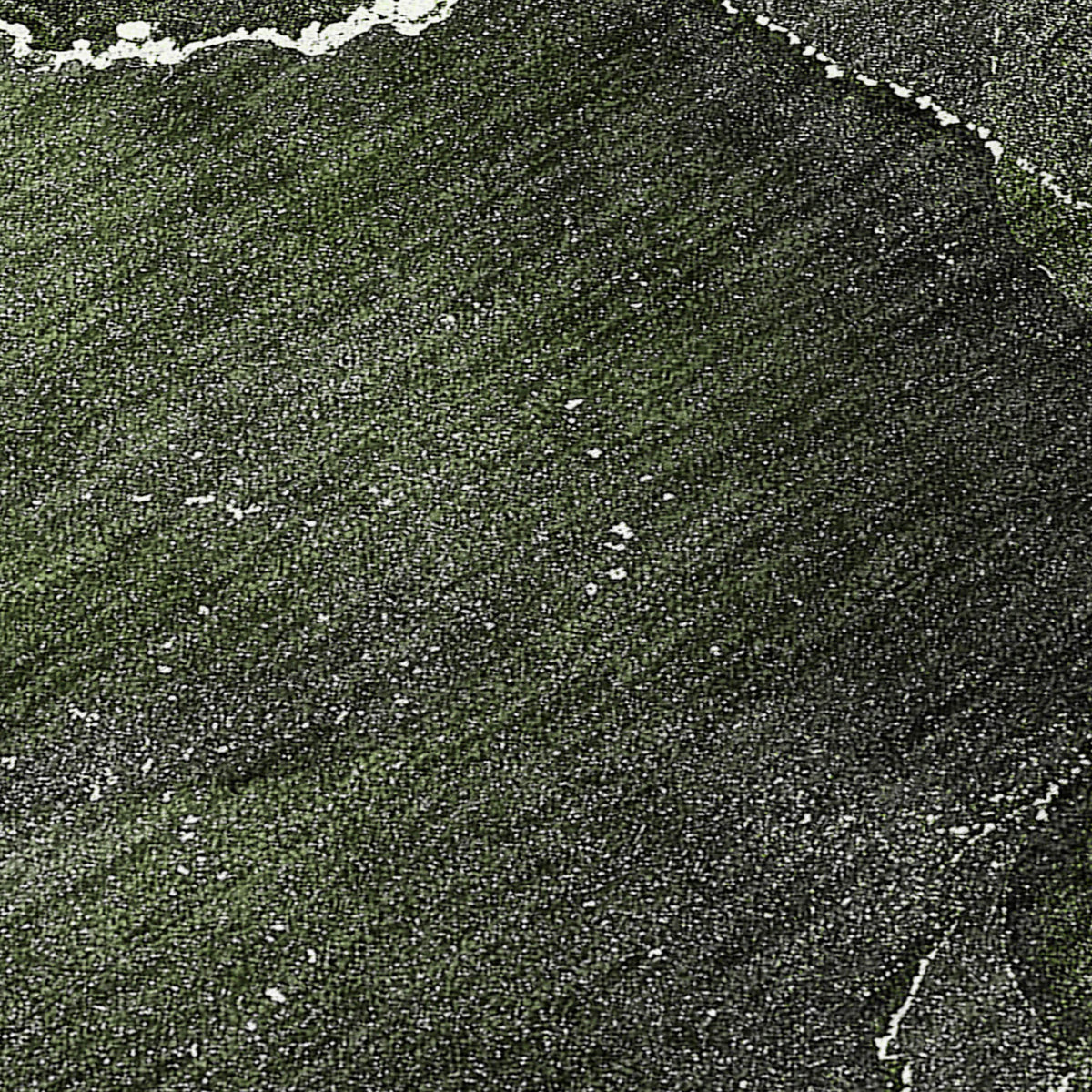 Chantille ACN503 Green Rug