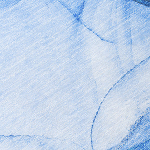 Chantille ACN507 Blue Rug