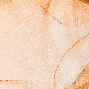 Chantille ACN507 Orange Rug