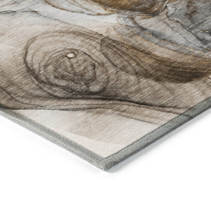 Chantille ACN513 Brown Rug