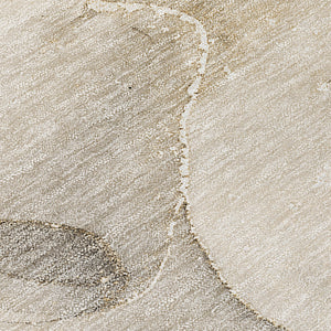 Chantille ACN521 Beige Rug