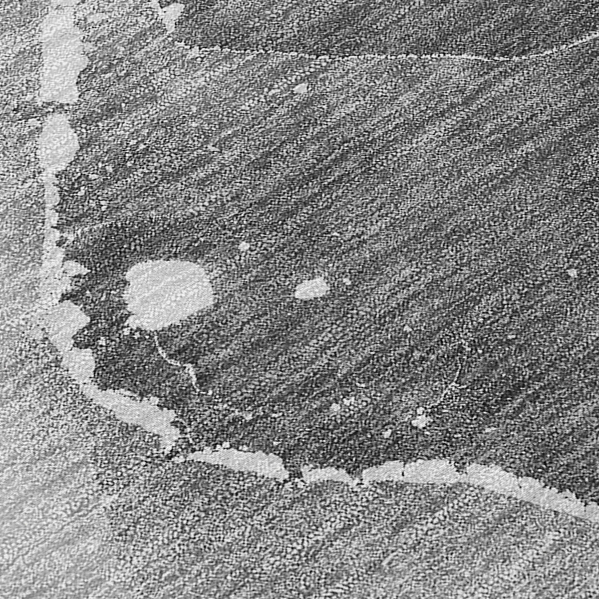 Chantille ACN522 Gray Rug