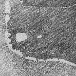 Chantille ACN522 Gray Rug