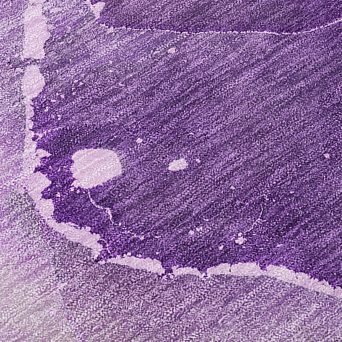 Chantille ACN522 Purple Rug