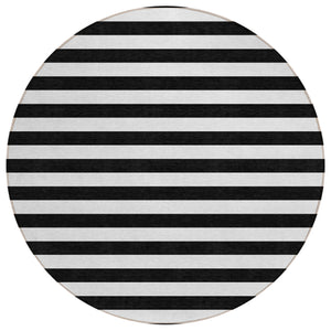 Chantille ACN528 Black Rug