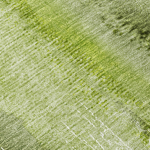 Chantille ACN537 Sage Rug