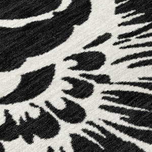Chantille ACN551 Black Rug