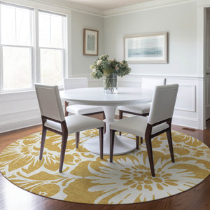 Chantille ACN551 Gold Rug