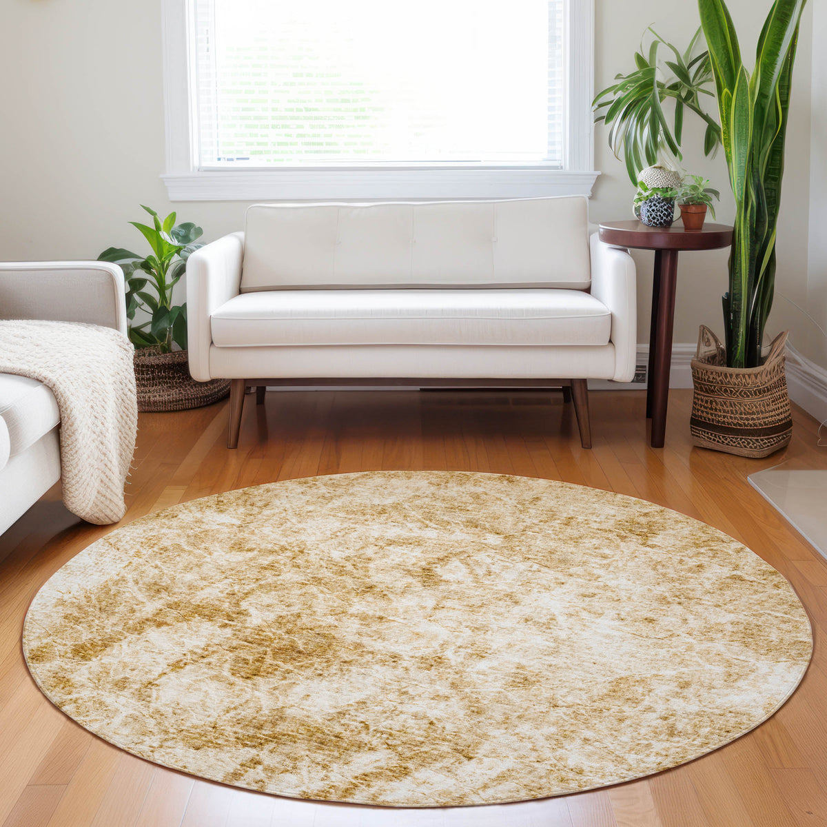 Chantille ACN553 Beige Rug