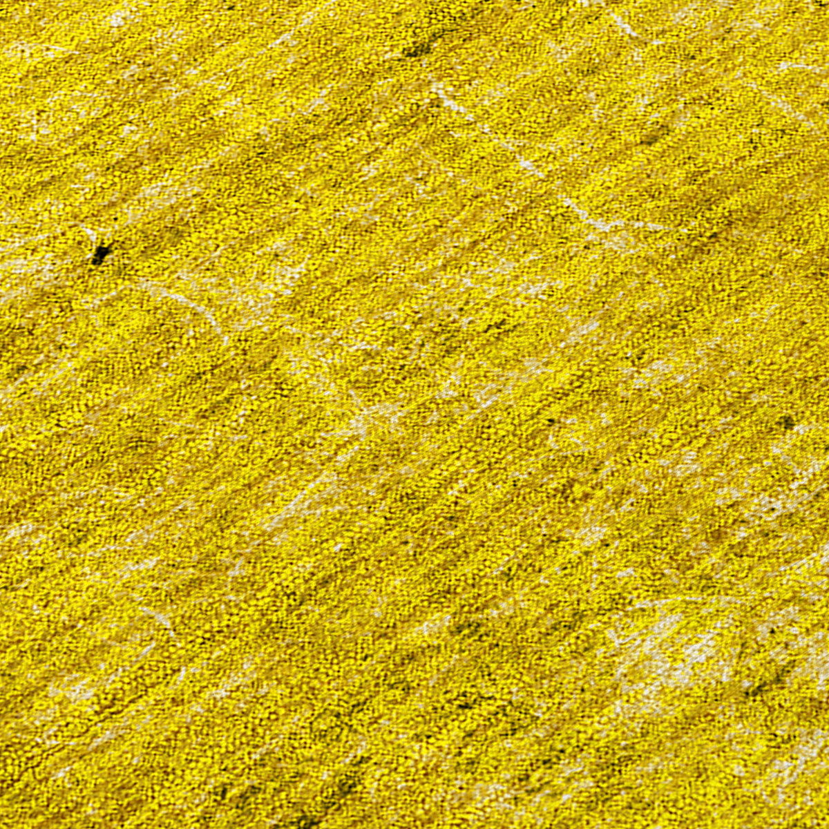 Chantille ACN554 Gold Rug