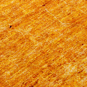 Chantille ACN554 Paprika Rug