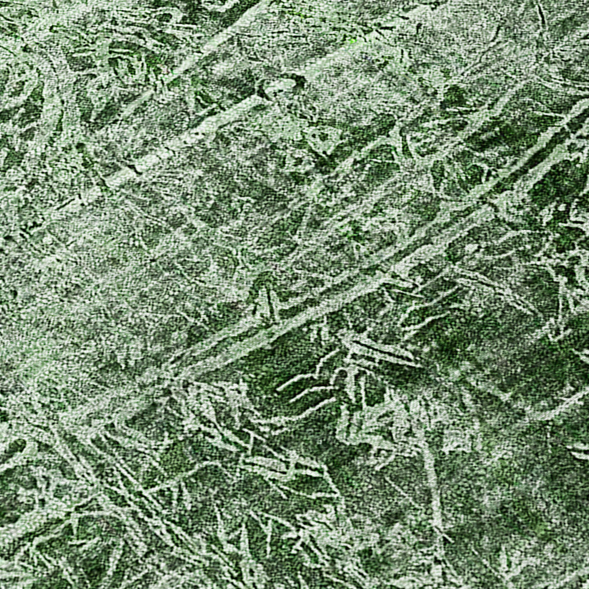 Chantille ACN559 Emerald Rug