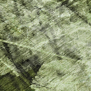 Chantille ACN560 Green Rug