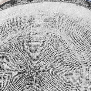 Chantille ACN575 Beige Rug