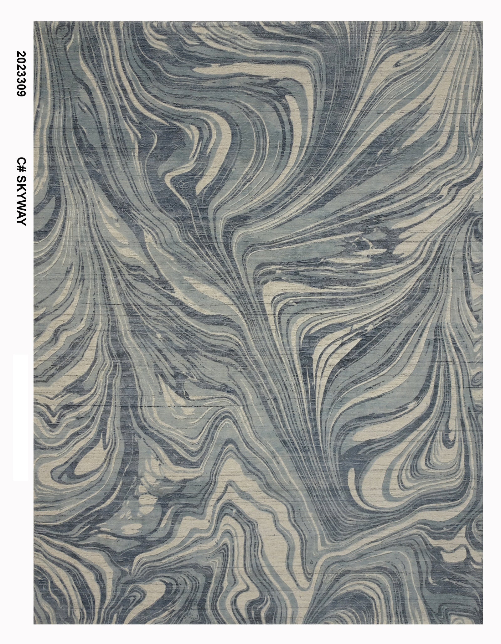 Cozy Printed RH-2023309 Skyway Rug
