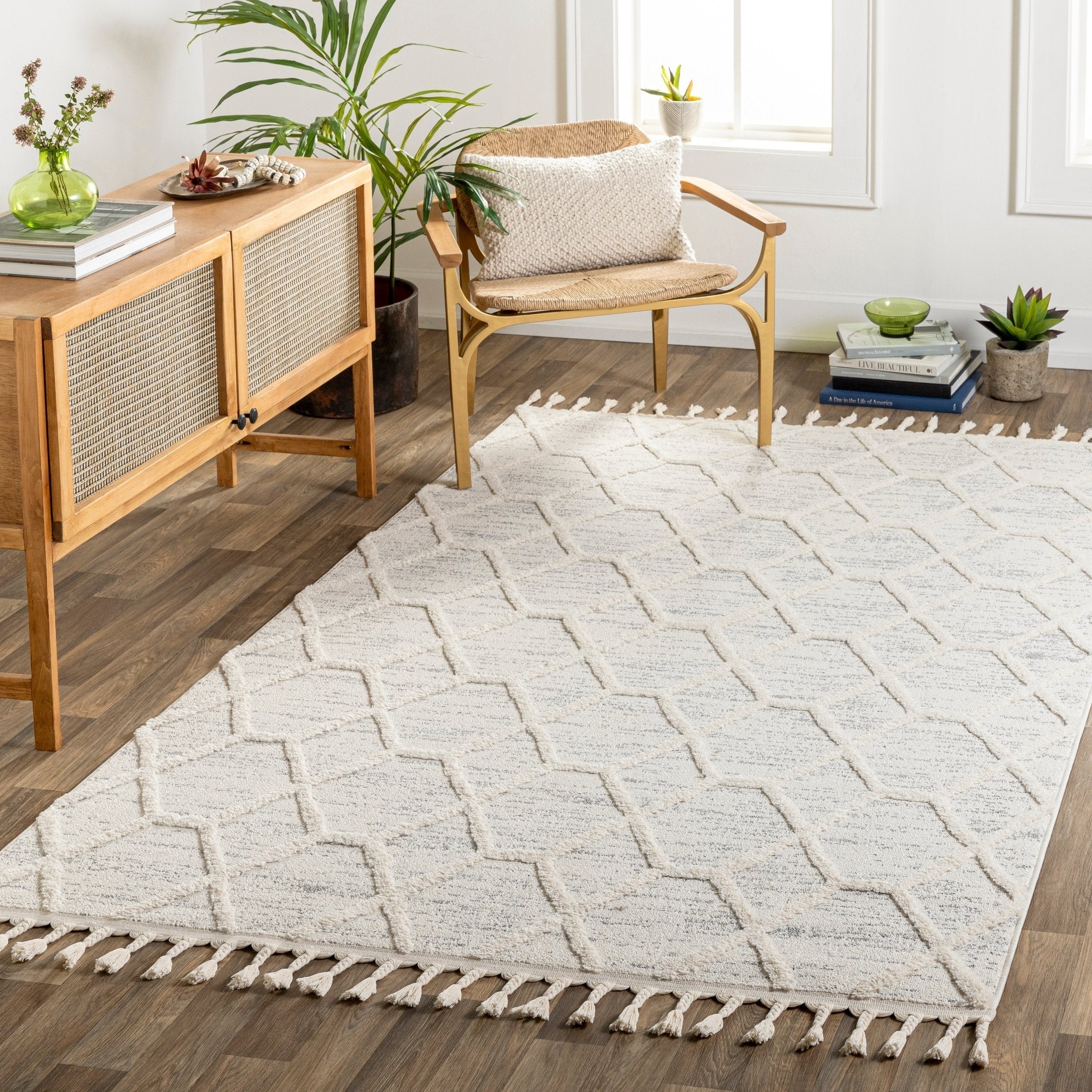 Shop Rug By Style