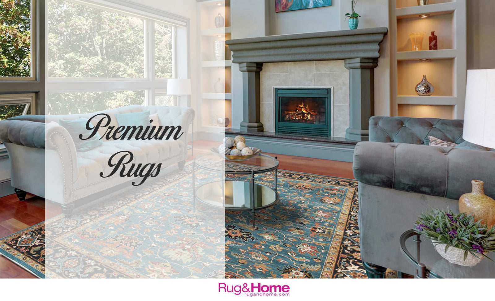 Modern Living Room with Area Rug