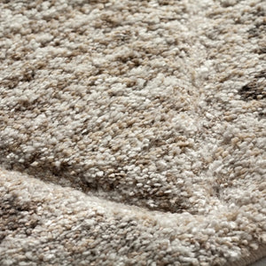 Carmona CO8 Driftwood Rug