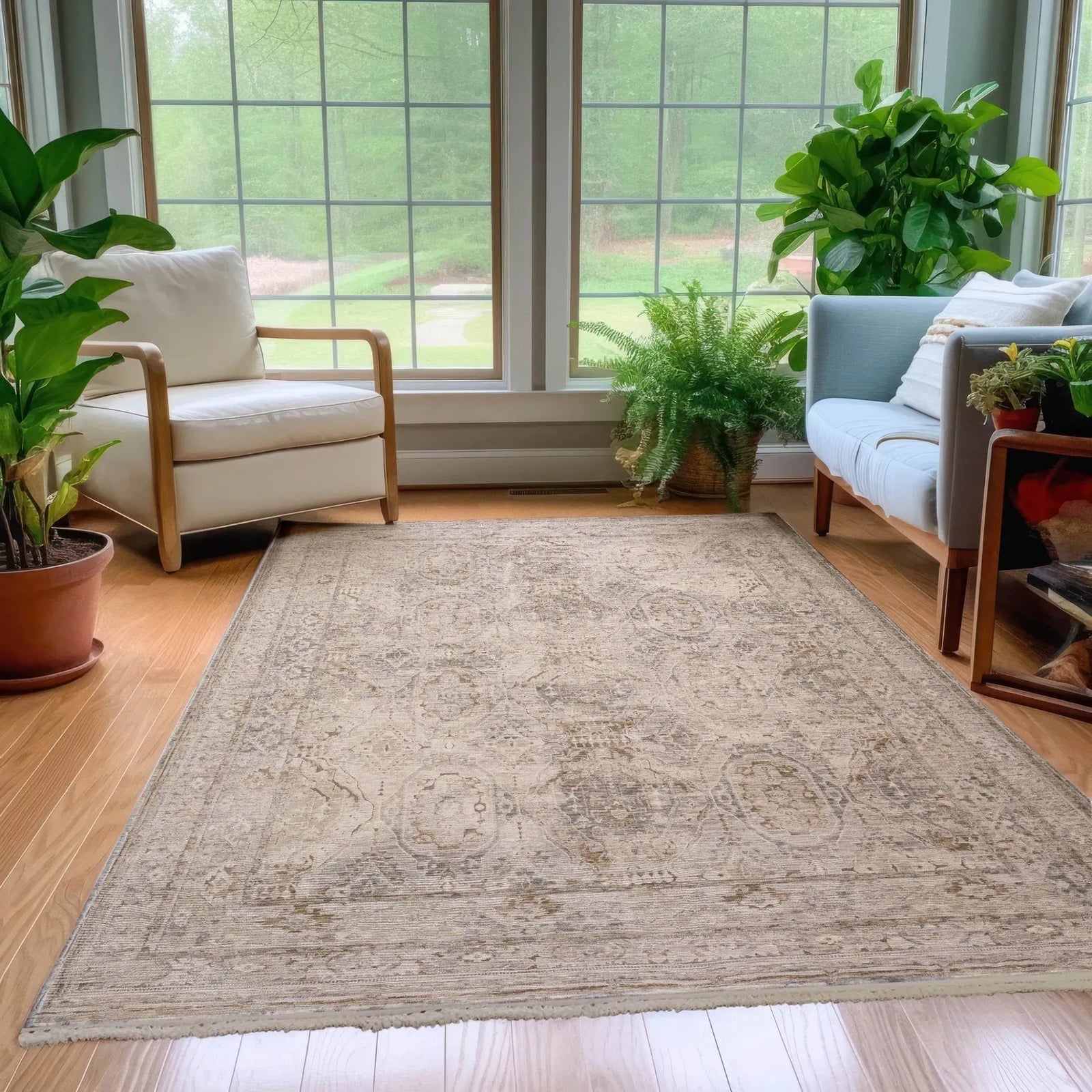 Cyprus CY6 Grey Rug