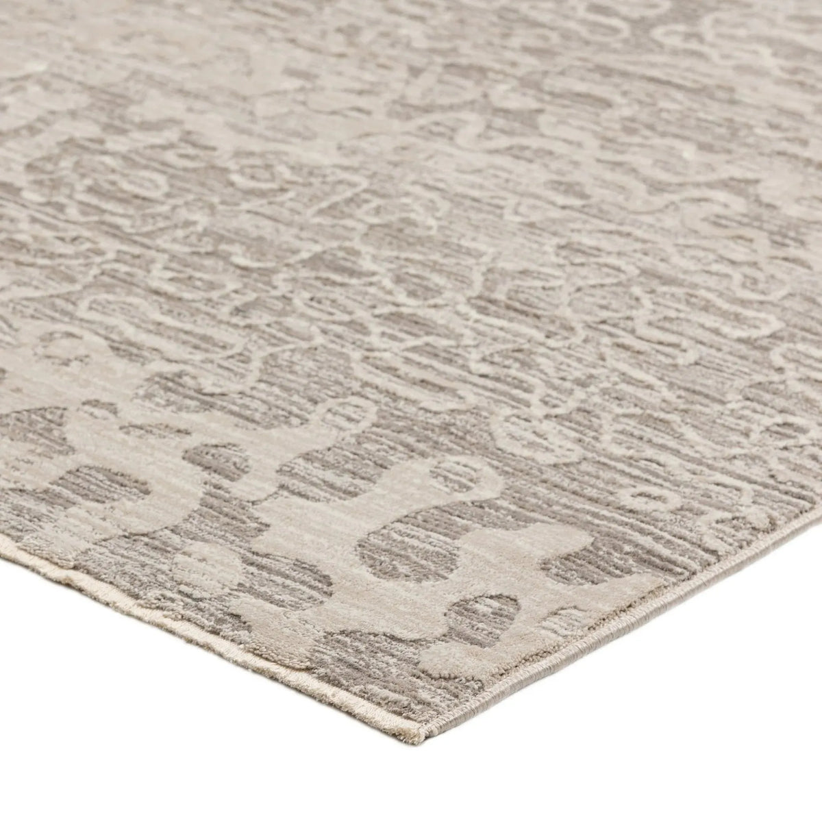 Denizi DZ6 Silver Rug