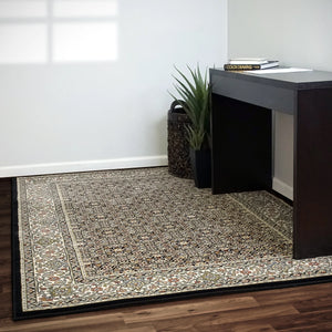Ancient Garden 57011-3263 Black/Ivory Rug