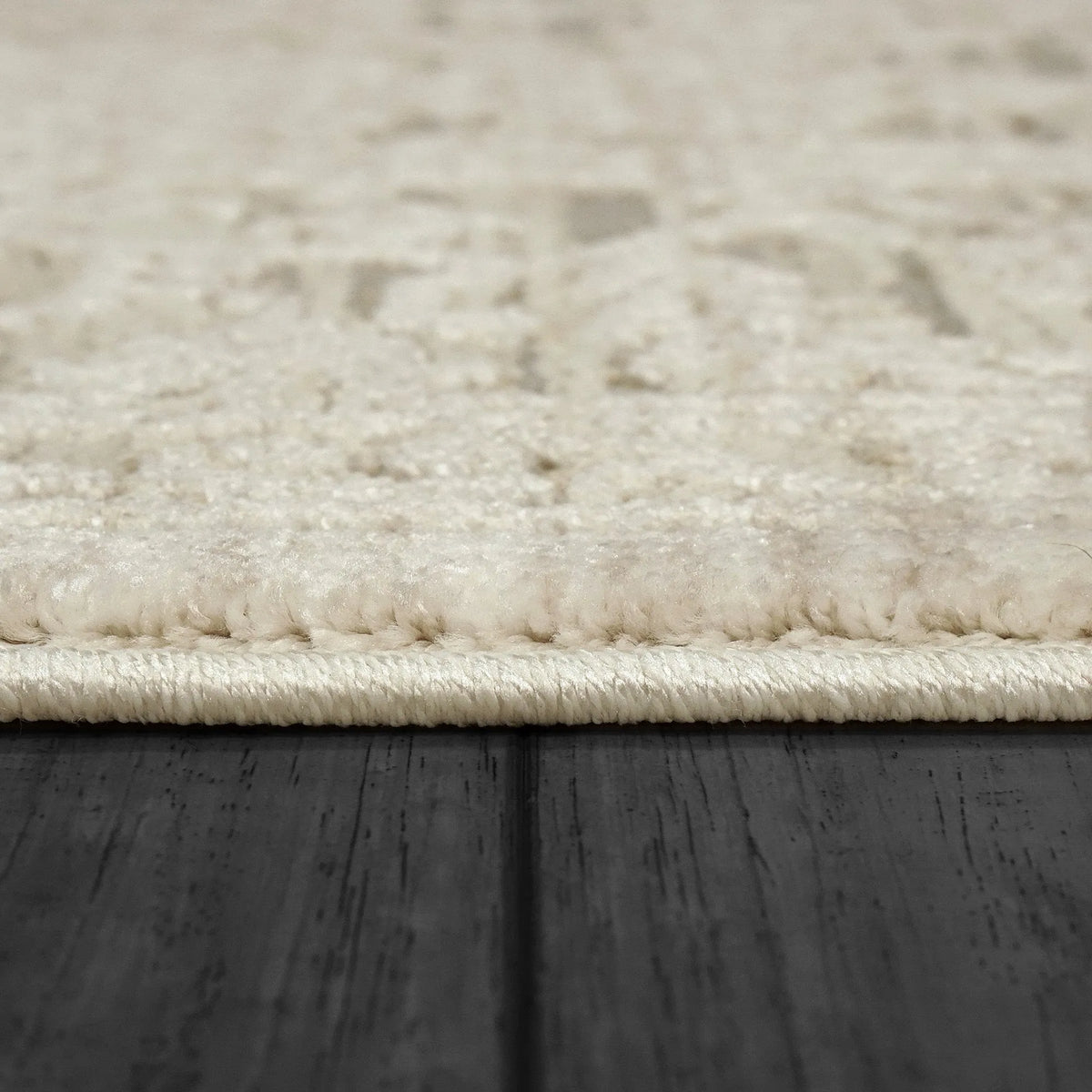 Bailey 3882-819 Beige/Ivory Rug