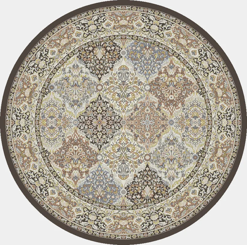 Ancient Garden 57008-3235 Brown/Blue Rug