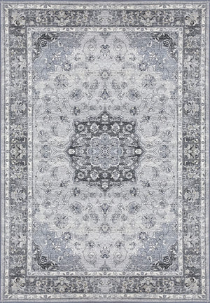 Ancient Garden 57559-9656 Silver/Grey Rug