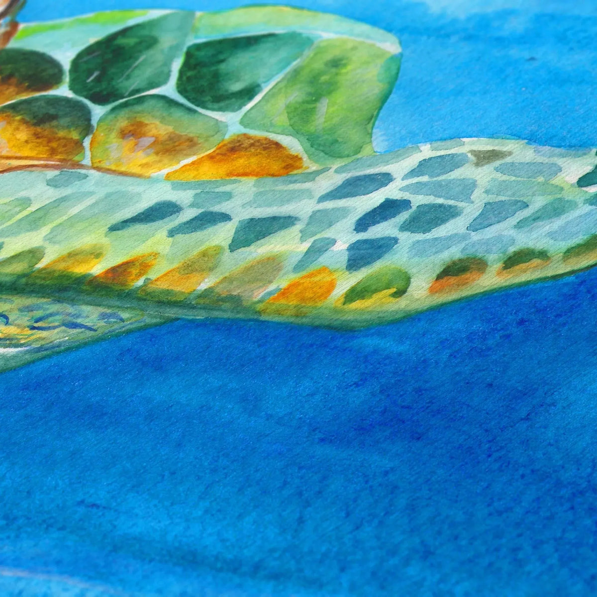 Harbor HA3 Ocean Rug