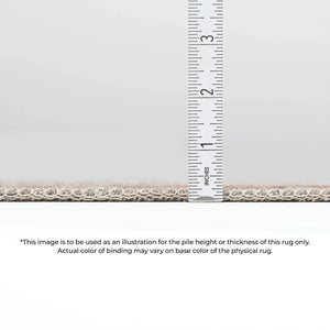 Kars KA11 Biscotti Rug