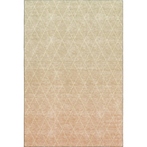 Lazio LZ2 Salmon Rug