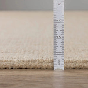 Monaco Sisal MC100 Taupe Rug