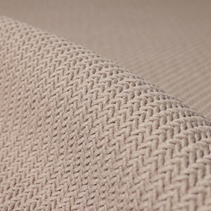 Quinton QTN01 Beige Rug