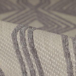 Tajiri TNC06 Cream/Light Grey Rug