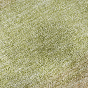 Trevi TV2 Aloe Rug