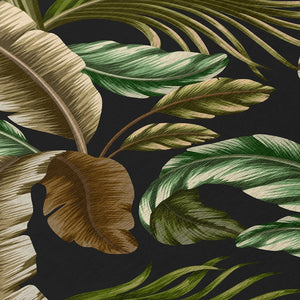 Tropics TC1 Black Rug