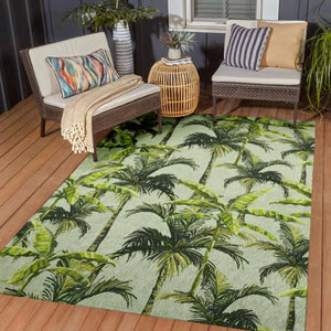 Tropics TC10 Aloe Rug