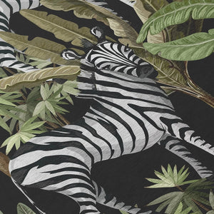 Tropics TC13 Black Rug