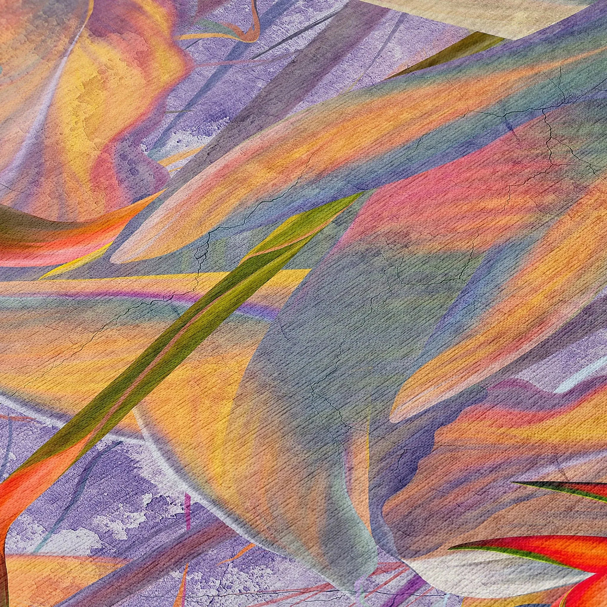 Tropics TC14 Passion Rug