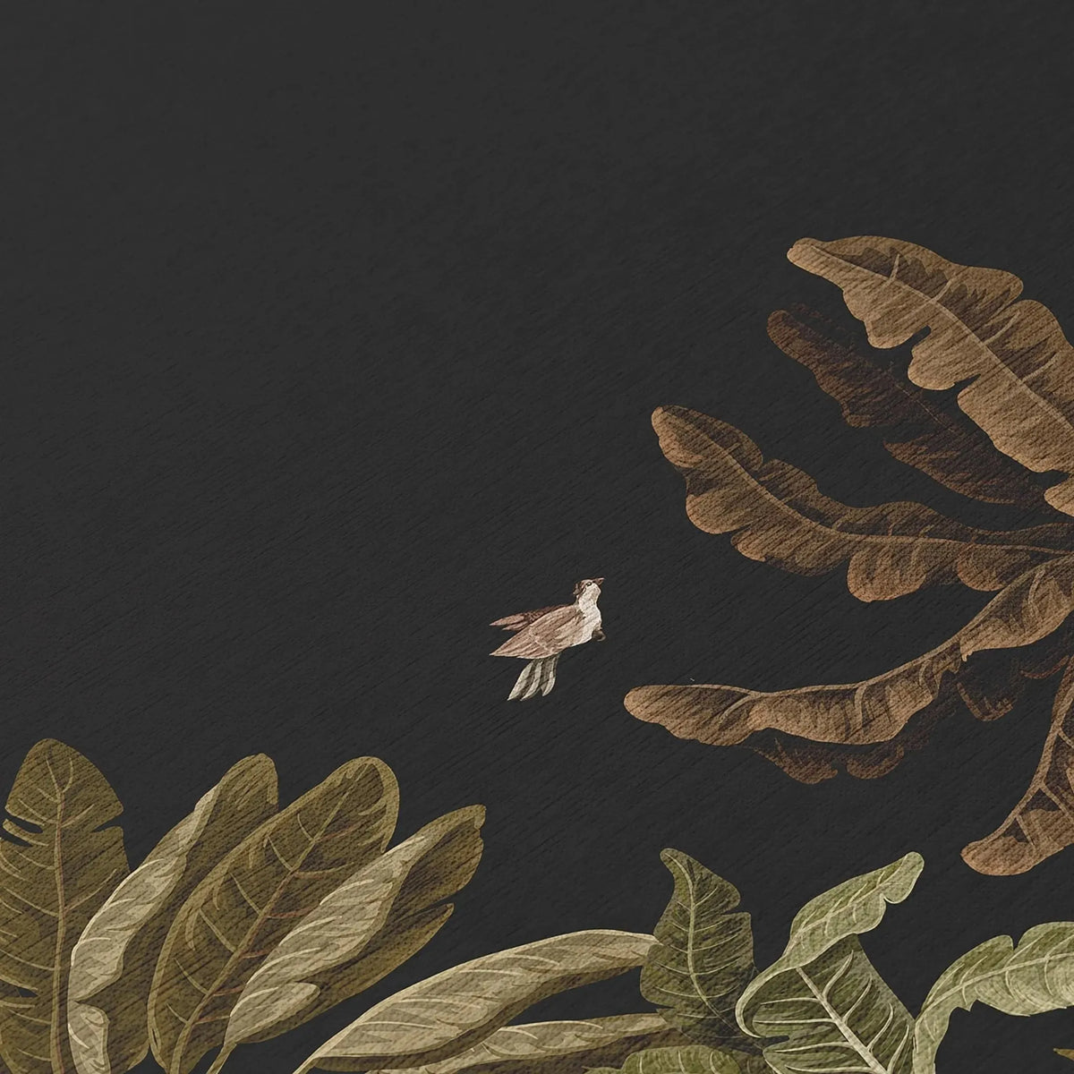 Tropics TC8 Black Rug