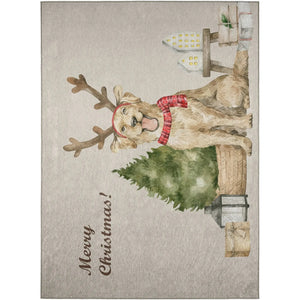 Wonderland WN8 Beige Rug