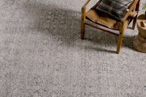 Alie ALE-01 Stone/Mist Rug