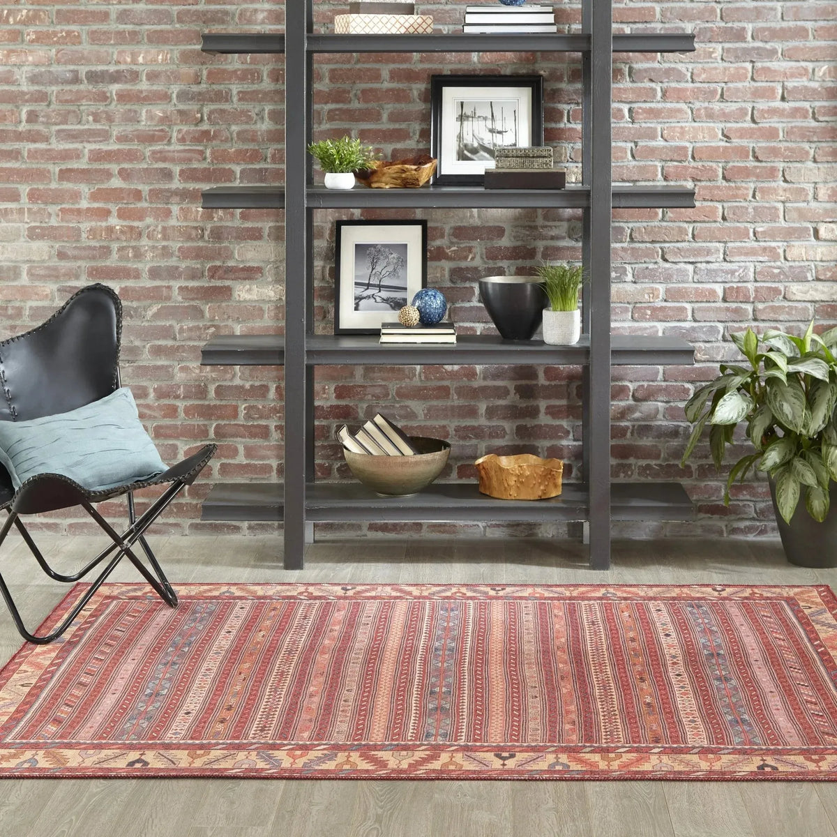 Afshar Afs-5 Multi Rugs