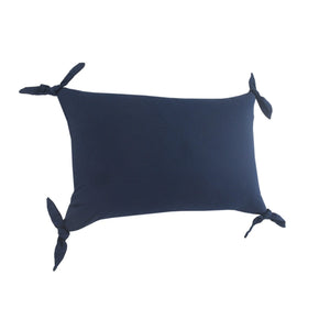Aisha Lr07683 Ensign Blue Pillow