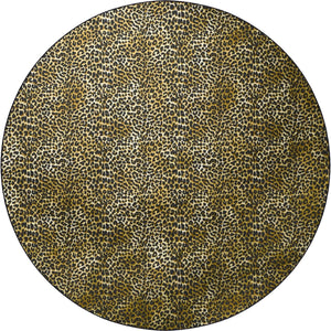 Akina AK2 Gold Rug