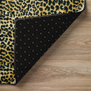 Akina AK2 Gold Rug