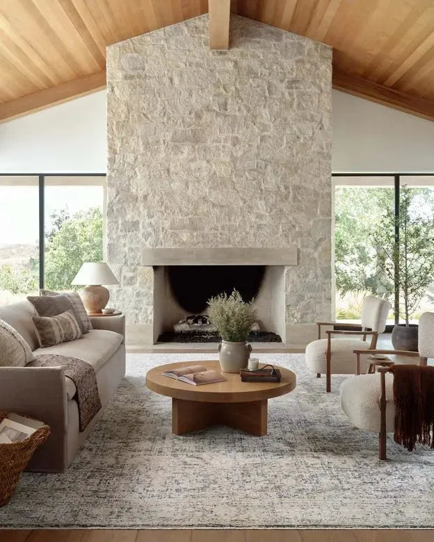 Alie ALE-05 Charcoal/Beige Rug